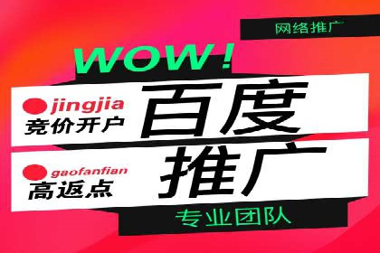 百度广告推广案例：拓展市场份额